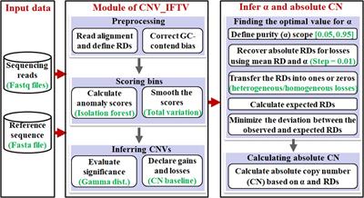 Accurate Inference of Tumor Purity and Absolute Copy Numbers From High-Throughput Sequencing Data